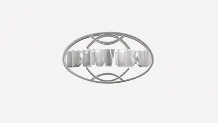 D.I.W.B.O Reversible cowhide leather belt C016